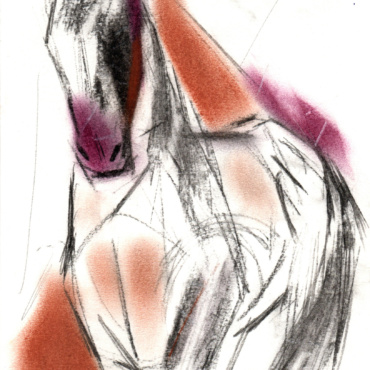 AGD05